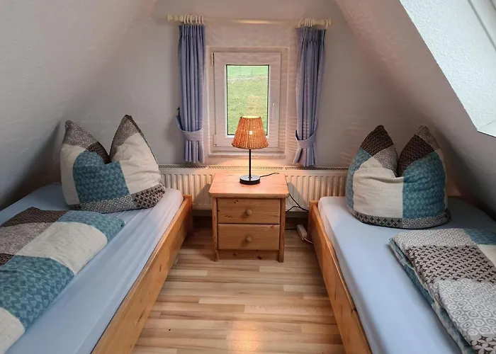 Luettjes Diekhuus * 托斯恩斯