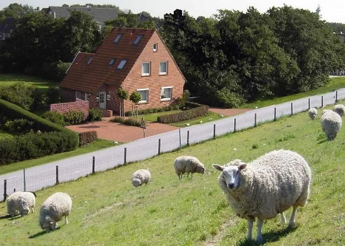 公寓 Luettjes Diekhuus 托斯恩斯